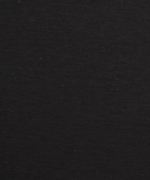 DRESSTERIOR / ドレステリア Tシャツ | 【接触冷感/抗菌防臭/消臭】ICE CLEAR COTTON ポケットTシャツ | 詳細15