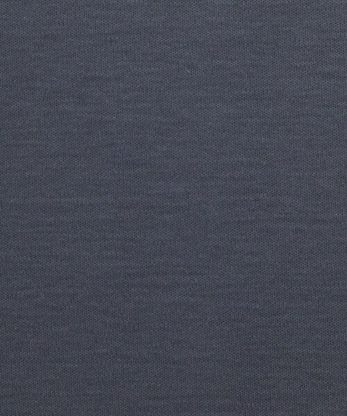 DRESSTERIOR / ドレステリア Tシャツ | 【接触冷感/抗菌防臭/消臭】ICE CLEAR COTTON ガンラビットTシャツ | 詳細11