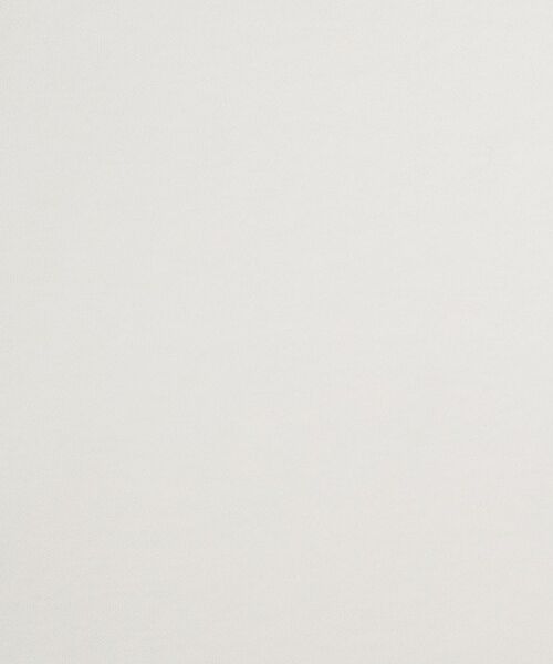 DRESSTERIOR / ドレステリア Tシャツ | 【接触冷感/抗菌防臭/消臭】ICE CLEAR COTTON ガンラビットTシャツ | 詳細9