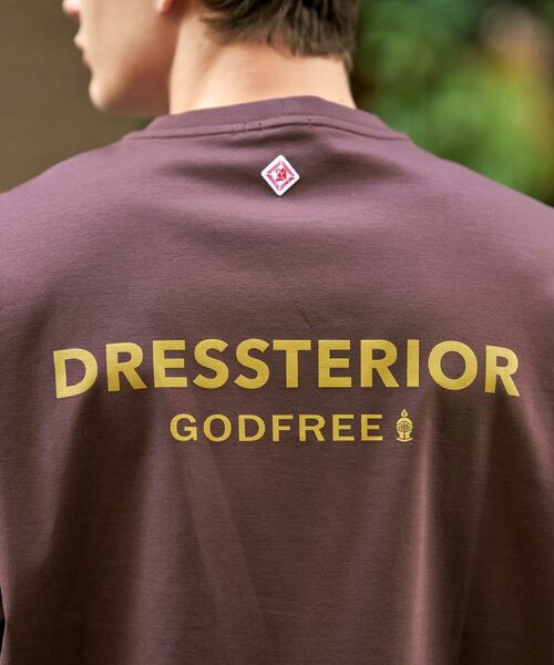DRESSTERIOR / ドレステリア Tシャツ | 【接触冷感/抗菌防臭/消臭】ICE CLEAR COTTON オーバーフィットTシャツ | 詳細11
