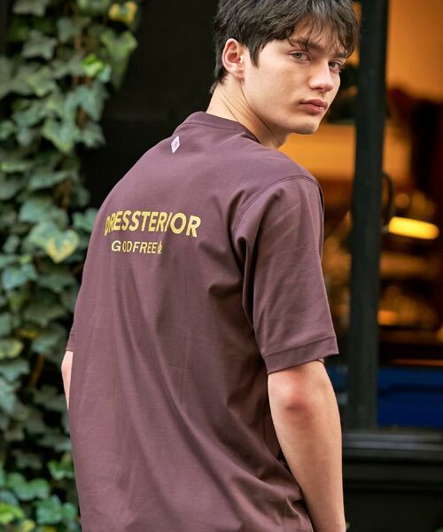 DRESSTERIOR / ドレステリア Tシャツ | 【接触冷感/抗菌防臭/消臭】ICE CLEAR COTTON オーバーフィットTシャツ | 詳細2