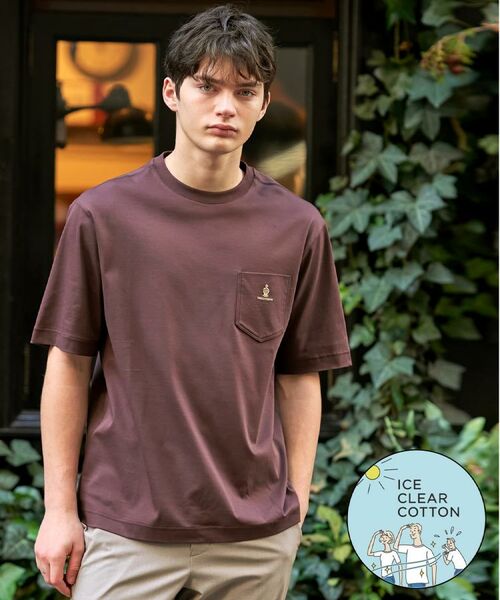 DRESSTERIOR / ドレステリア Tシャツ | 【接触冷感/抗菌防臭/消臭】ICE CLEAR COTTON オーバーフィットTシャツ(ブラウン(044))