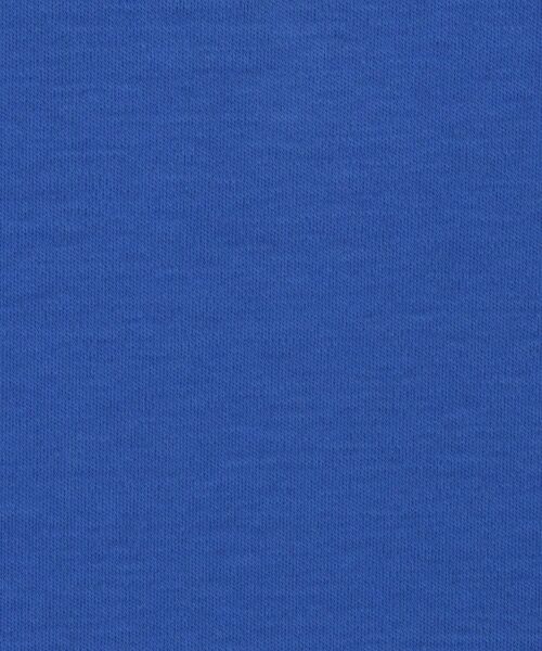 DRESSTERIOR / ドレステリア Tシャツ | 【接触冷感/抗菌防臭/消臭】ICE CLEAR COTTON NINEストリートTシャツ | 詳細14