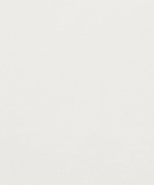 DRESSTERIOR / ドレステリア ポロシャツ | ICE CLEAR COTTON オーバーフィットポロシャツ | 詳細12