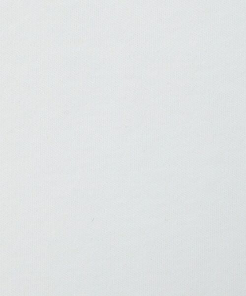 DRESSTERIOR / ドレステリア Tシャツ | 【接触冷感/抗菌防臭/消臭】ICE CLEAR COTTON フロッグオーバーフィットTシャツ | 詳細11