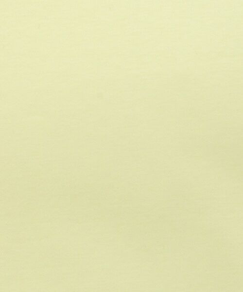 DRESSTERIOR / ドレステリア Tシャツ | 【接触冷感/抗菌防臭/消臭】ICE CLEAR COTTON フロッグオーバーフィットTシャツ | 詳細13