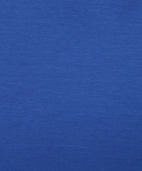 DRESSTERIOR / ドレステリア Tシャツ | 【接触冷感/抗菌防臭/消臭】ICE CLEAR COTTON フロッグオーバーフィットTシャツ | 詳細14