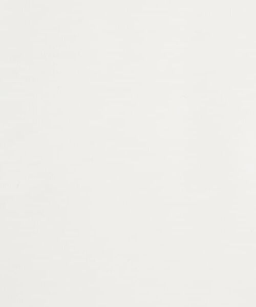 DRESSTERIOR / ドレステリア Tシャツ | 【接触冷感/抗菌防臭/消臭】ICE CLEAR COTTON モックネックTシャツ | 詳細10