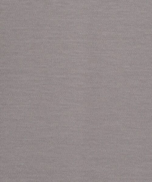 DRESSTERIOR / ドレステリア Tシャツ | 【接触冷感/抗菌防臭/消臭】ICE CLEAR COTTON モックネックTシャツ | 詳細11