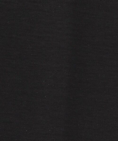 DRESSTERIOR / ドレステリア Tシャツ | 【接触冷感/抗菌防臭/消臭】ICE CLEAR COTTON モックネックTシャツ | 詳細12