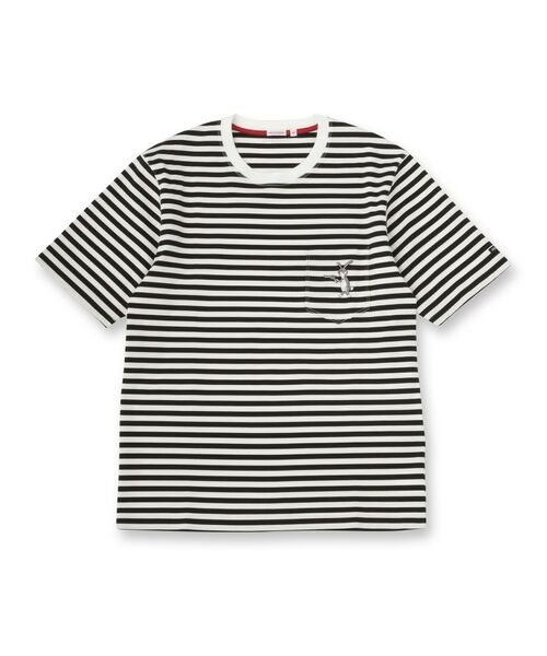 DRESSTERIOR / ドレステリア Tシャツ | 【接触冷感／抗菌防臭／消臭】ICE CLEAR COTTON ボーダーTシャツ | 詳細1