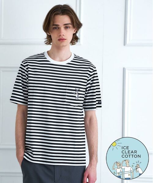 DRESSTERIOR / ドレステリア Tシャツ | 【接触冷感／抗菌防臭／消臭】ICE CLEAR COTTON ボーダーTシャツ（ブラック(319)）