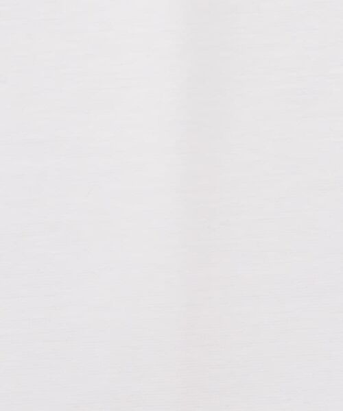 DRESSTERIOR / ドレステリア Tシャツ | クールデオドラント ロンT | 詳細10