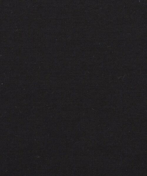 DRESSTERIOR / ドレステリア Tシャツ | クールデオドラント ロンT | 詳細11