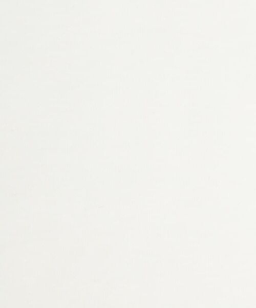 DRESSTERIOR / ドレステリア Tシャツ | 【干場義雅×DRESSTERIOR】ICE CLEAR COTTON Tシャツ | 詳細10