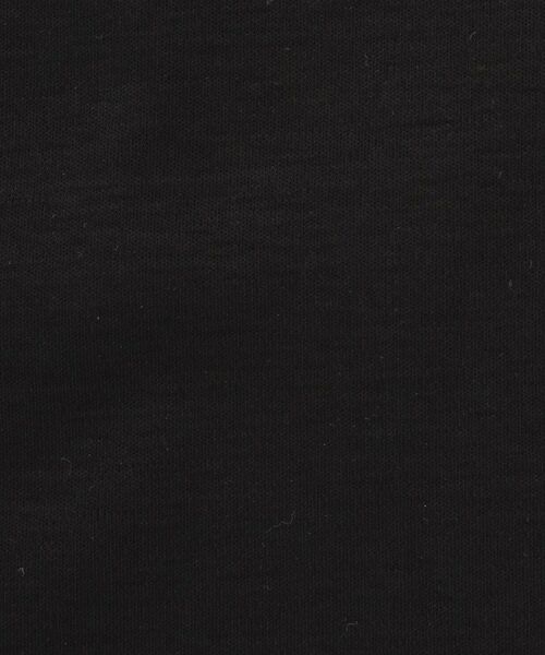 DRESSTERIOR / ドレステリア Tシャツ | 【干場義雅×DRESSTERIOR】ICE CLEAR COTTON Tシャツ | 詳細11