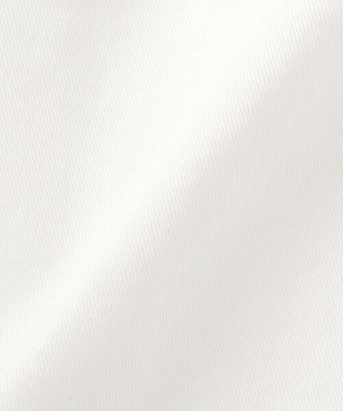 DRESSTERIOR / ドレステリア ショート・ハーフ・半端丈パンツ | 【干場義雅×DRESSTERIOR/ウォッシャブル】コットン混ハーフパンツ | 詳細13