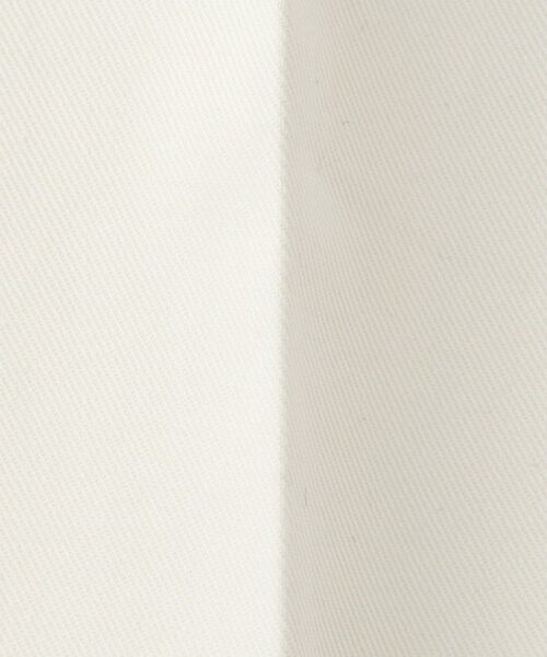 DRESSTERIOR / ドレステリア パンツ | 【干場義雅×DRESSTERIOR】コットントラウザーズ | 詳細10