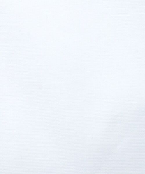 DRESSTERIOR / ドレステリア シャツ・ブラウス | 【干場義雅×DRESSTERIOR】シドグラスシャツ | 詳細12