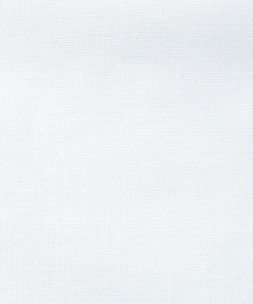 DRESSTERIOR / ドレステリア シャツ・ブラウス | オックスフォードシャツ | 詳細17