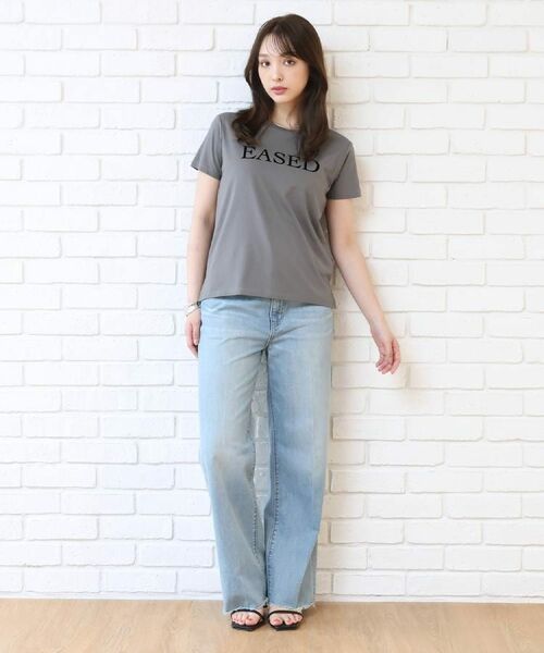 DRESSTERIOR / ドレステリア Tシャツ | フロッキーロゴプリントTシャツ | 詳細10