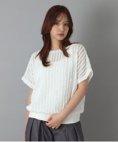DRESSTERIOR / ドレステリア カットソー | シアーメッシュプルオーバー