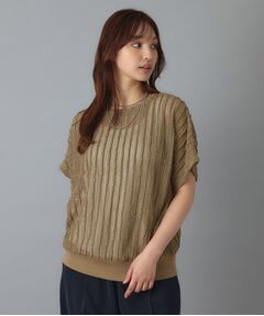 DRESSTERIOR / ドレステリア カットソー | シアーメッシュプルオーバー