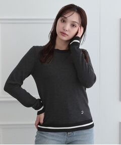 DRESSTERIOR / ドレステリア ニット・セーター | ウォッシャブルファインメリノクルーネック
