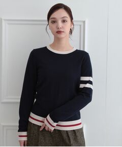 DRESSTERIOR / ドレステリア ニット・セーター | ウォッシャブルファインメリノクルーネック