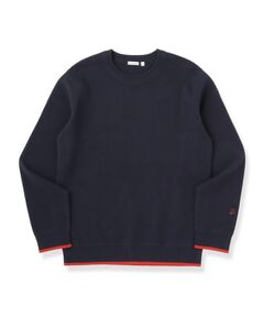 DRESSTERIOR / ドレステリア ニット・セーター | コットンカシミヤ スムースニット