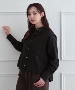 DRESSTERIOR / ドレステリア シャツ・ブラウス | シアーストライプクロップドシャツ