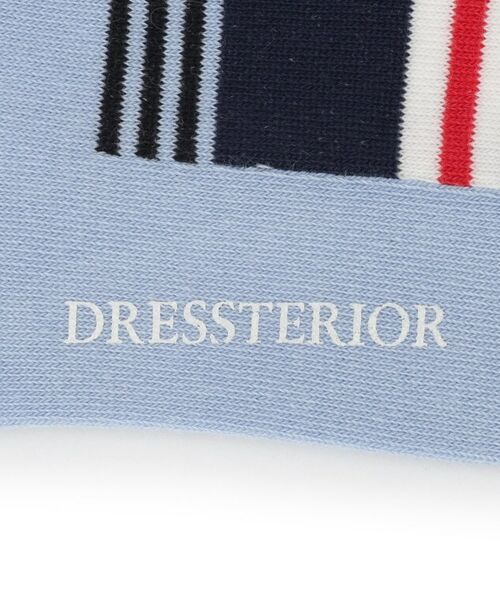 DRESSTERIOR / ドレステリア ソックス | ボーダーソックス | 詳細4
