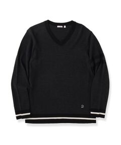 DRESSTERIOR / ドレステリア ニット・セーター | ウォッシャブル ファインメリノVネックニット