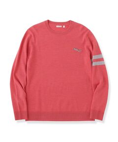 DRESSTERIOR / ドレステリア ニット・セーター | ◆ゼニアバルーファ キャッシュウール クルーネックニット