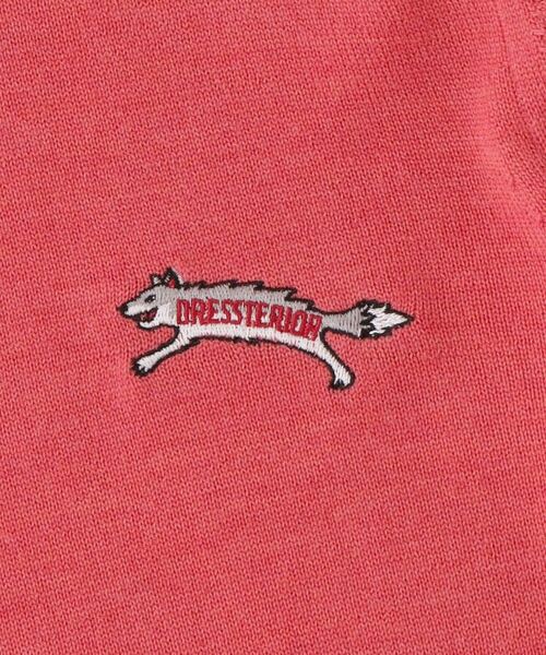 DRESSTERIOR / ドレステリア ニット・セーター | ◆ゼニアバルーファ キャッシュウール クルーネックニット | 詳細12