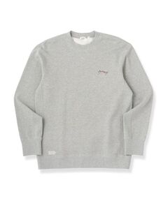 DRESSTERIOR / ドレステリア カットソー | 裏起毛バックプリント スウェット