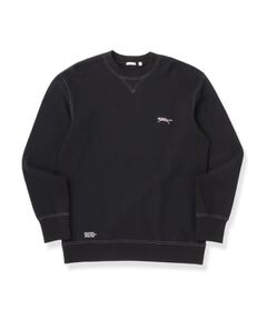 DRESSTERIOR / ドレステリア カットソー | 裏起毛バックプリント スウェット