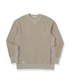 DRESSTERIOR / ドレステリア カットソー | 裏起毛バックプリント スウェット