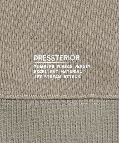 DRESSTERIOR / ドレステリア カットソー | 裏起毛バックプリント スウェット | 詳細24
