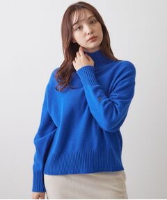 DRESSTERIOR / ドレステリア ニット・セーター | ミドルゲージハイネックプルオーバー