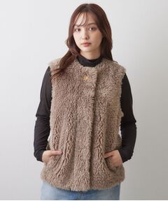DRESSTERIOR / ドレステリア ベスト | エコファージレ