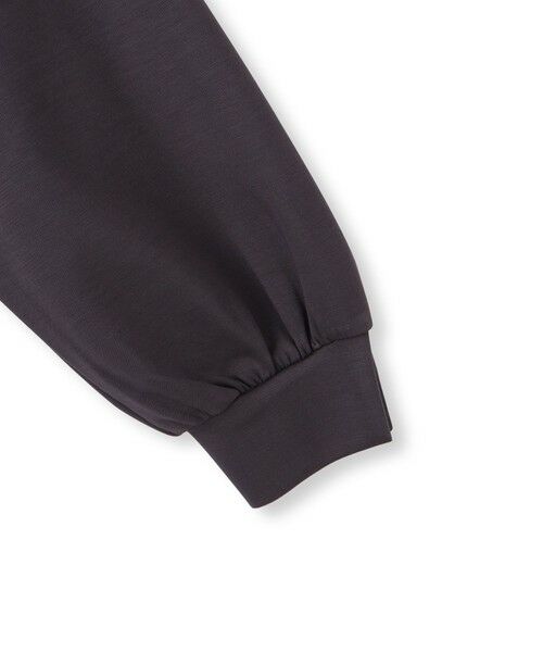 Droite lautreamont / ドロワットロートレアモン カットソー | 【WEB限定】エンボスロゴプルオーバー≪洗濯機で洗える≫ | 詳細19