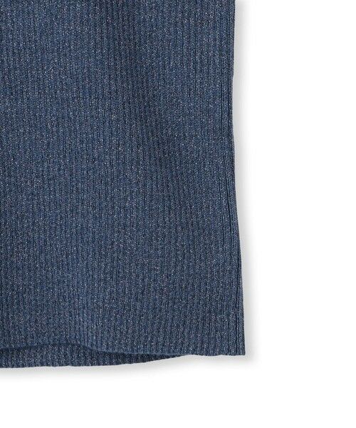 Droite lautreamont / ドロワットロートレアモン ニット・セーター | ラメRIBニットプルオーバー≪手洗い可能≫ | 詳細19