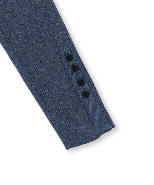 Droite lautreamont / ドロワットロートレアモン ニット・セーター | ラメRIBニットプルオーバー≪手洗い可能≫ | 詳細20