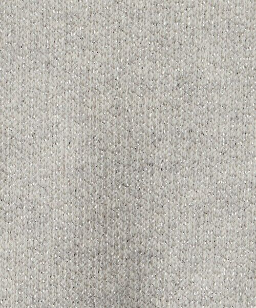 Droite lautreamont / ドロワットロートレアモン カットソー | グリスター裏毛プルオーバー≪洗濯機で洗える≫ | 詳細13