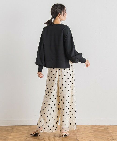 Droite lautreamont / ドロワットロートレアモン その他パンツ | 【WEB限定】オーガンジードットパンツ | 詳細6
