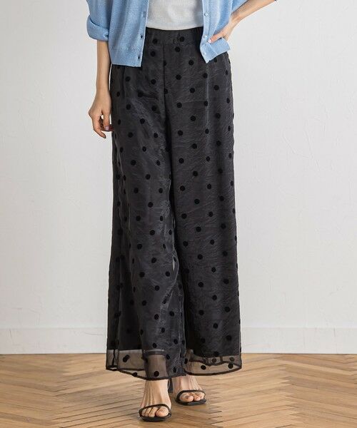 Droite lautreamont / ドロワットロートレアモン その他パンツ | 【WEB限定】オーガンジードットパンツ | 詳細14