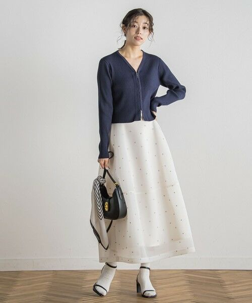 Droite lautreamont / ドロワットロートレアモン ミニ・ひざ丈スカート | ダブルラッセルドット刺繍スカート≪洗濯機で洗える≫ | 詳細10