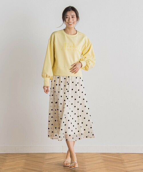 Droite lautreamont / ドロワットロートレアモン ミニ・ひざ丈スカート | 【WEB限定】オーガンジードットフレアスカート | 詳細10