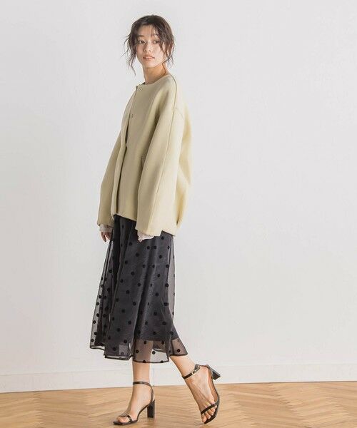 Droite lautreamont / ドロワットロートレアモン ミニ・ひざ丈スカート | 【WEB限定】オーガンジードットフレアスカート | 詳細20